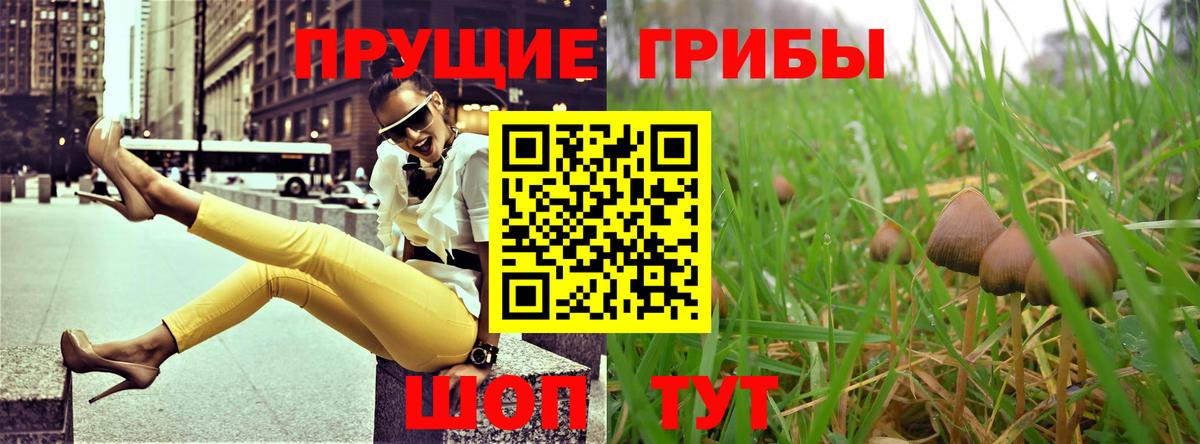 Рузаевка  Галлюциногенные грибы Psilocybine cubensis  Галлюциногенные грибы прущие грибы  Вход с VPN 
