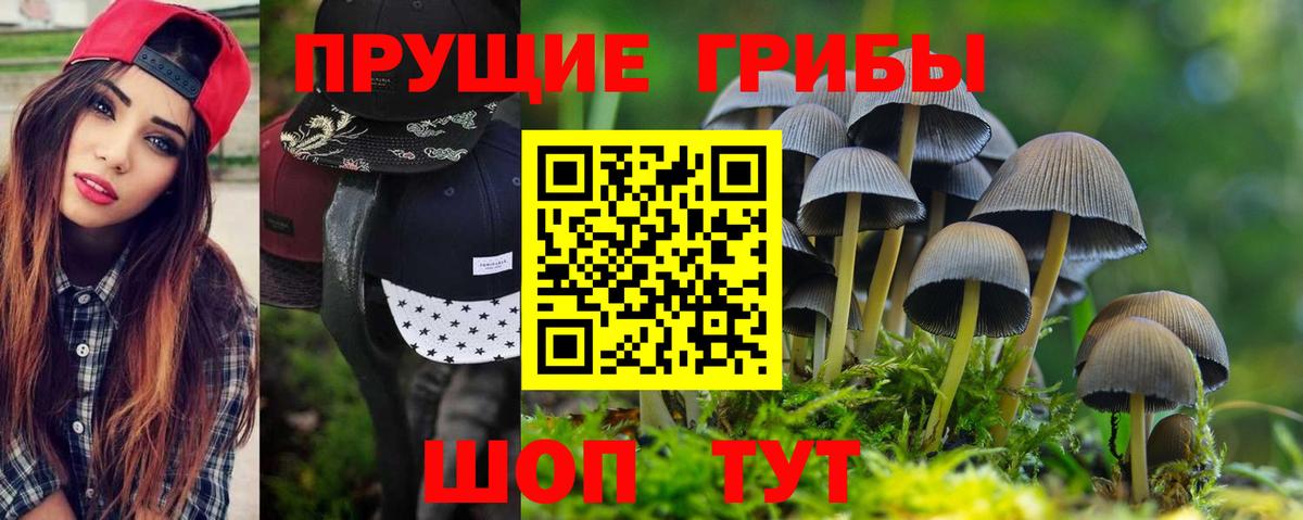 Псилоцибиновые грибы MAGIC MUSHROOMS Рузаевка